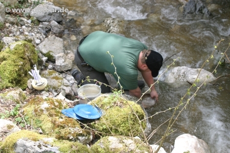 Spülen im kalten Wasser