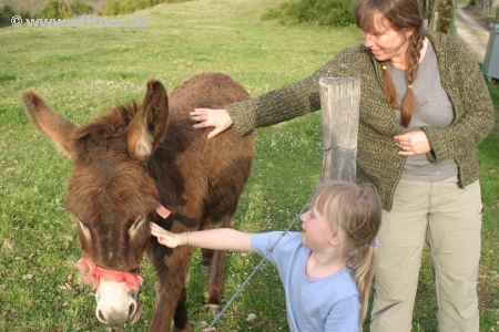 Esel, Katharina und Juliane