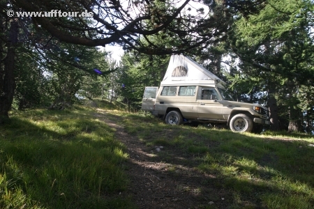 Mont Jafferau - Übernachtungsplatz im Kiefernwäldchen