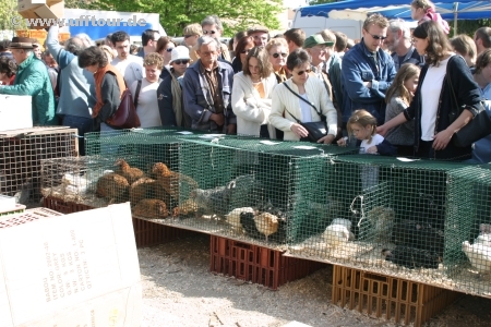 Bauernmarkt in Louhons