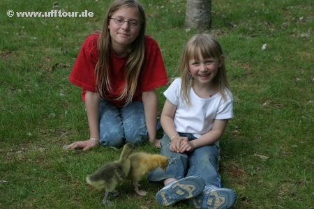 Küken-Paten: Yasmin und Katharina