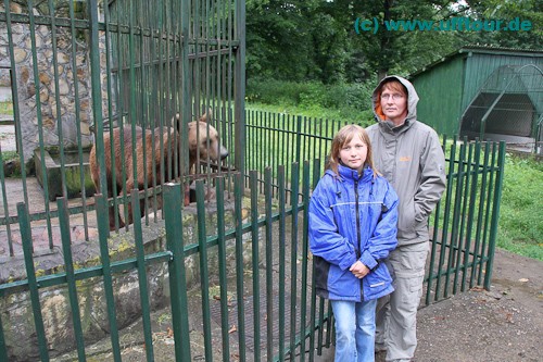 Wildpark von Dragos Voda - armer Bär in kleinem Käfig